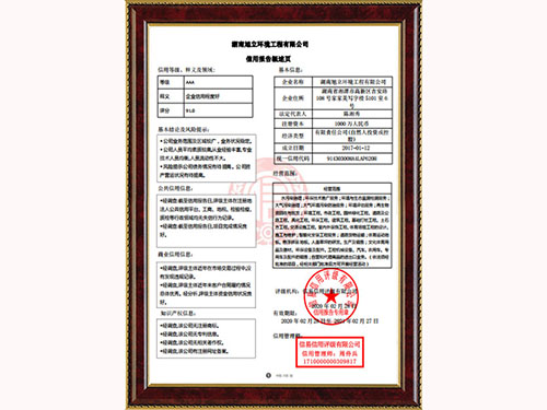 信用報(bào)告概述頁(yè)